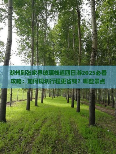 湖州到张家界玻璃栈道四日游