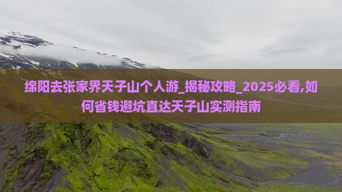 绵阳去张家界天子山个人游