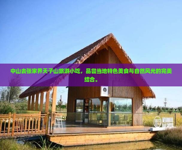 中山去张家界天子山旅游小吃
