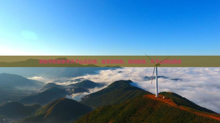 劳动节到张家界天子山五日游