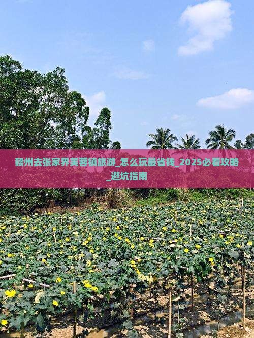 赣州去张家界芙蓉镇旅游