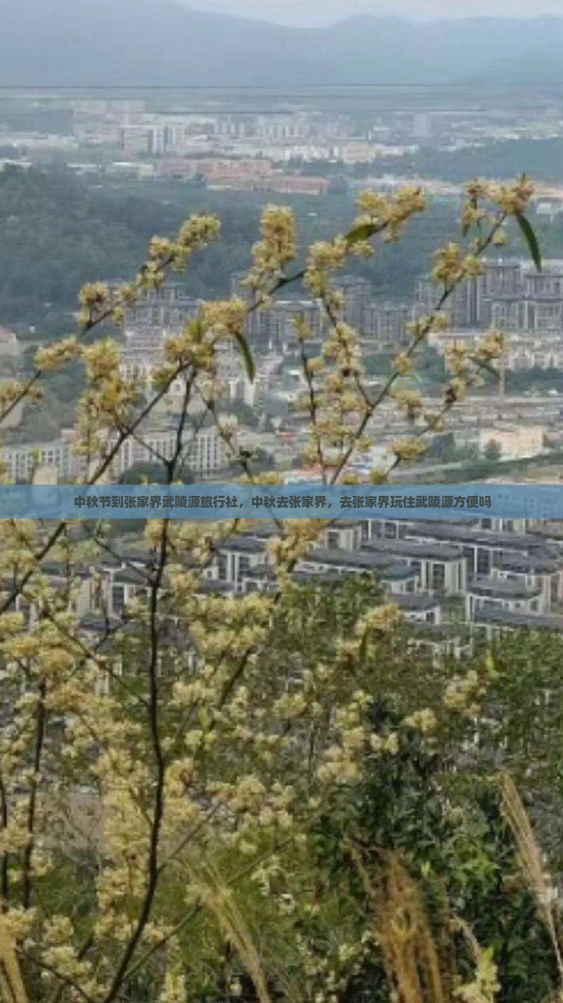 中秋节到张家界武陵源旅行社