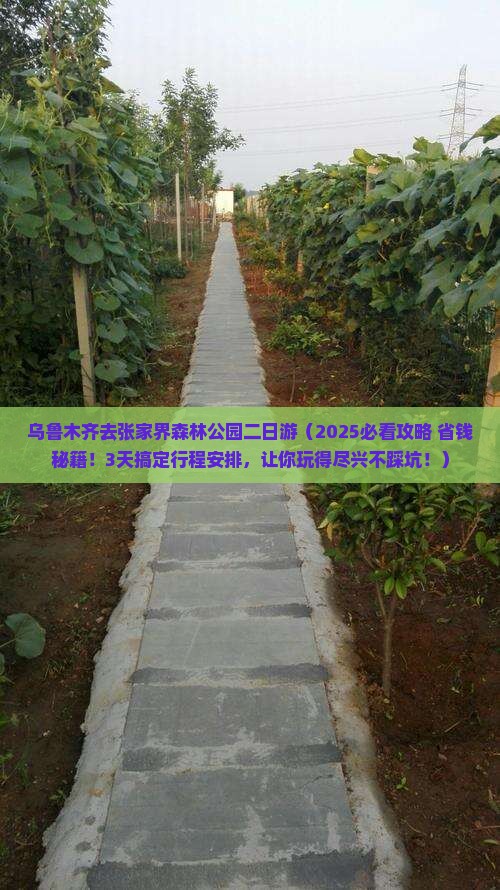 乌鲁木齐去张家界森林公园二日游