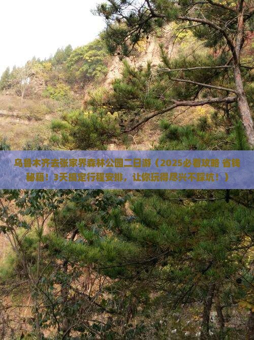 乌鲁木齐去张家界森林公园二日游