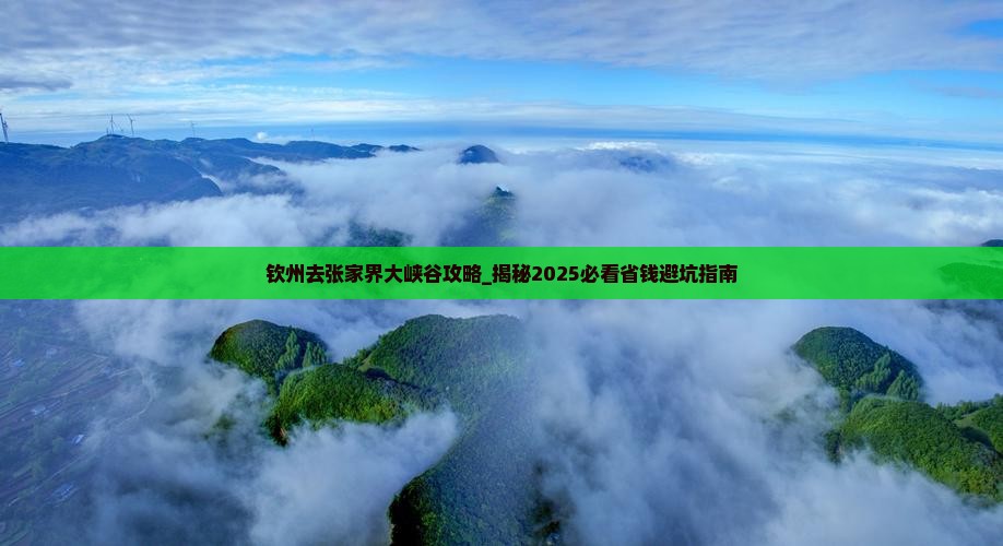 钦州去张家界大峡谷攻略