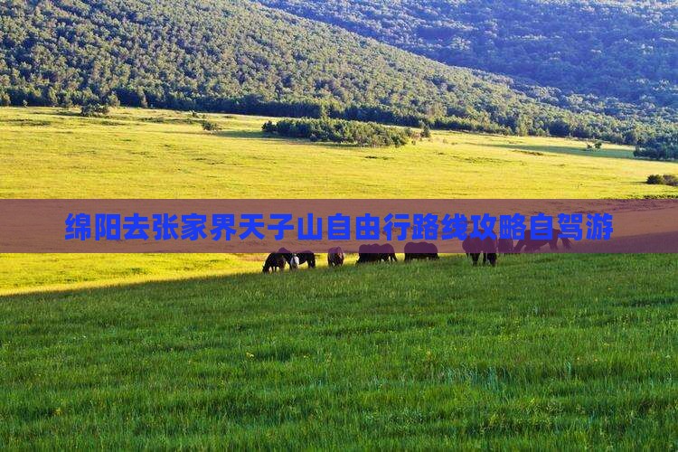 绵阳去张家界天子山自由行