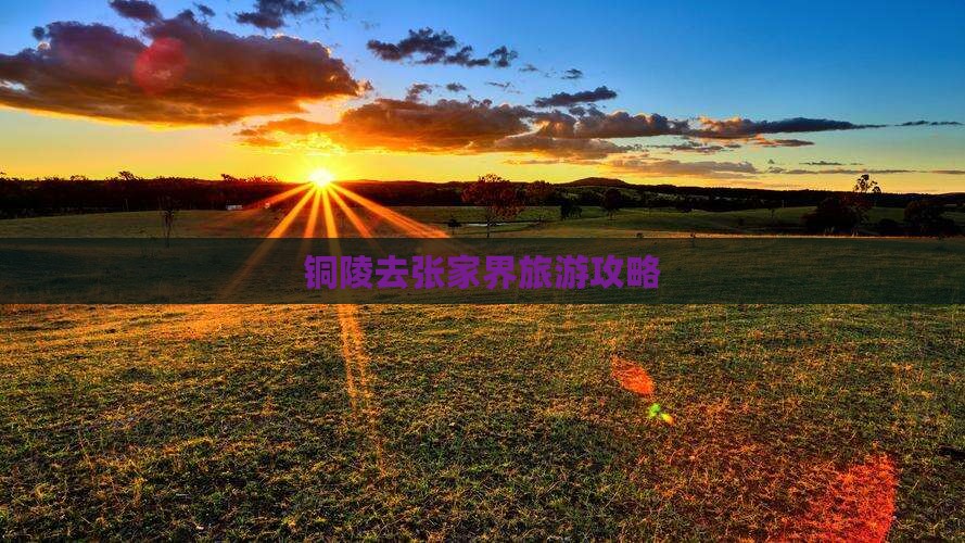 铜陵去张家界攻略