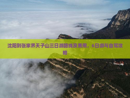 沈阳到张家界天子山三日游