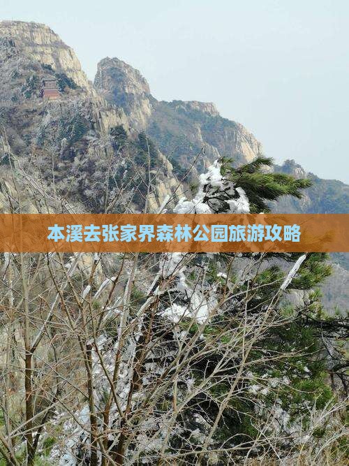 本溪去张家界森林公园攻略