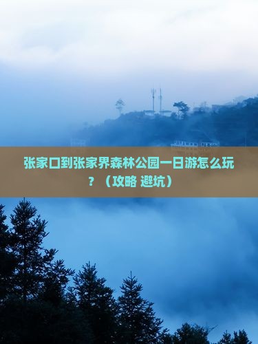 张家口到张家界森林公园一日