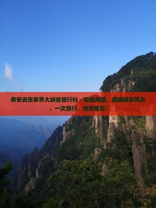泰安去张家界大峡谷旅行社