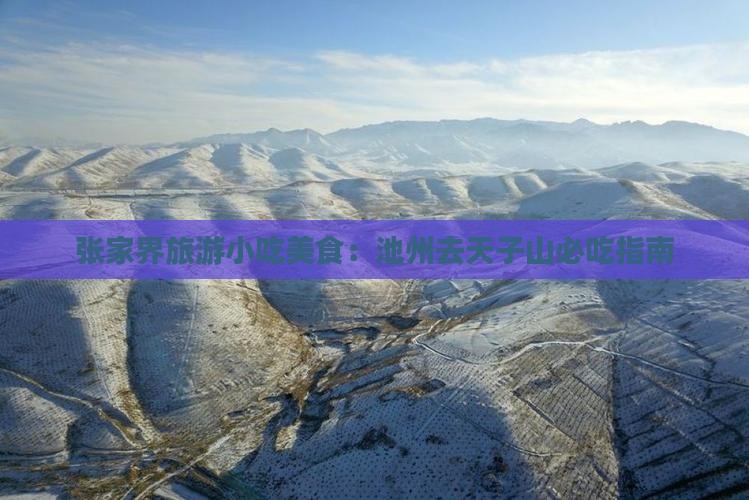 池州去张家界天子山旅游小吃