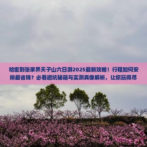 哈密到张家界天子山六日游