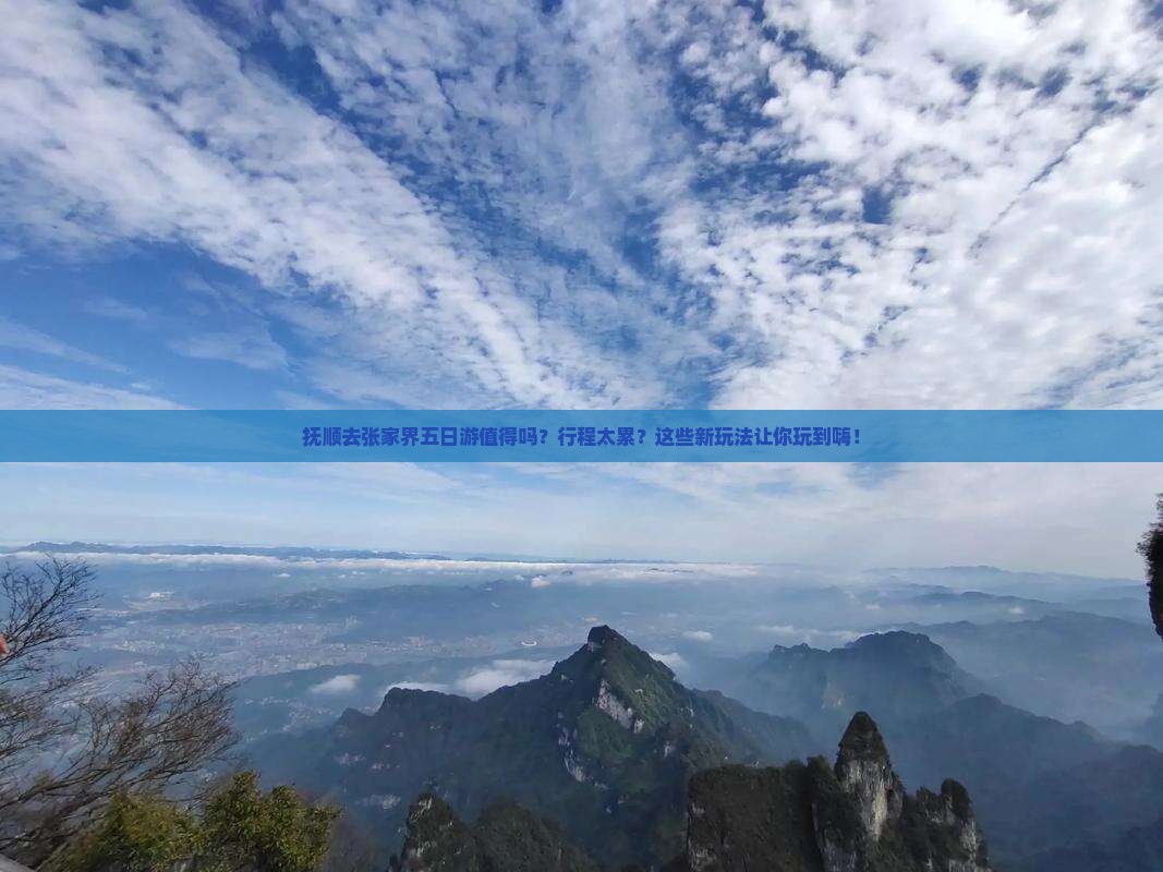 抚顺去张家界五日游