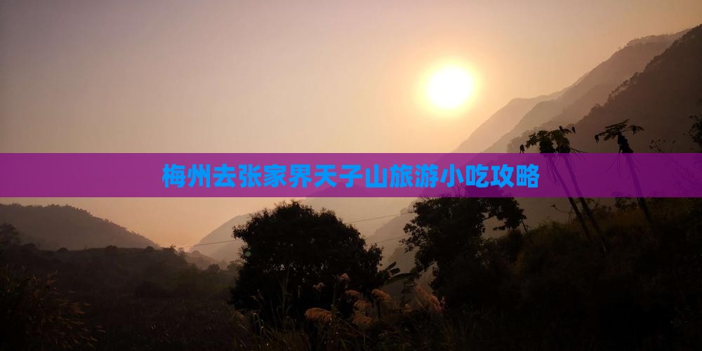 梅州去张家界天子山旅游小吃
