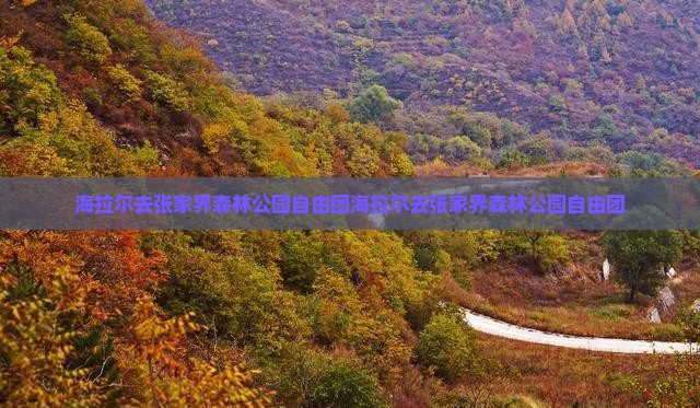 海拉尔去张家界森林公园自由团