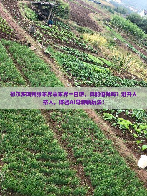 鄂尔多斯到张家界袁家界一日