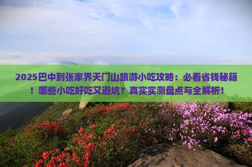巴中到张家界天门山旅游小吃