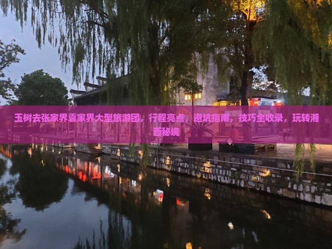 玉树去张家界袁家界大型旅游团