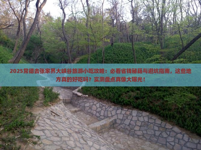 常德去张家界大峡谷旅游小吃