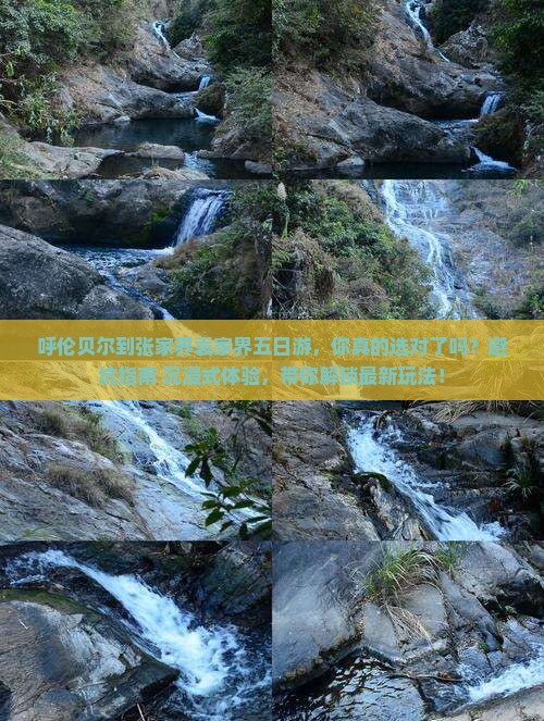 呼伦贝尔到张家界袁家界五日游