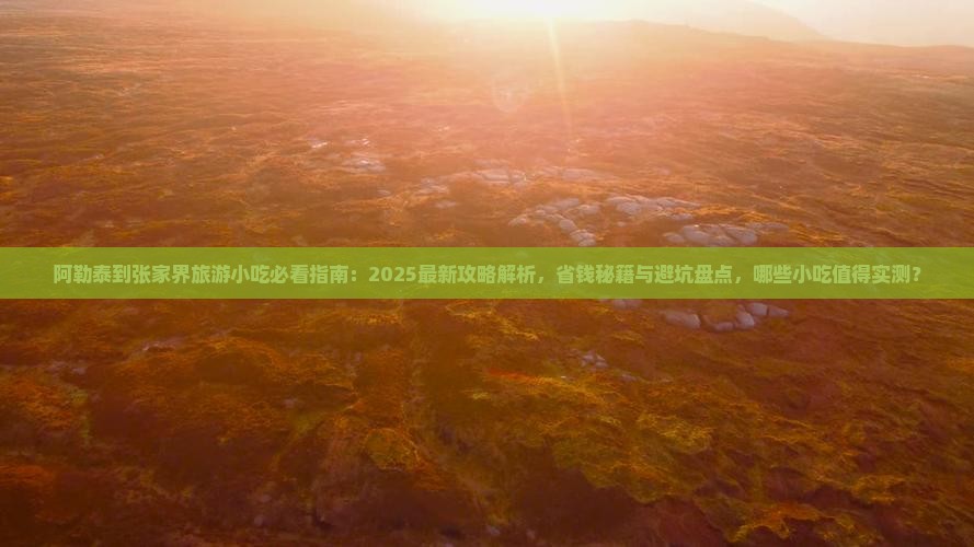阿勒泰到张家界旅游小吃