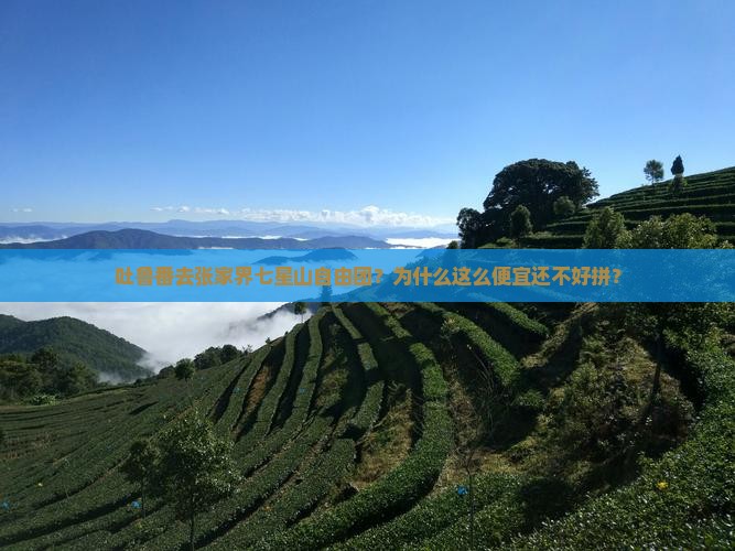 吐鲁番去张家界七星山自由团
