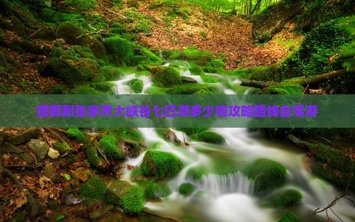 邯郸到张家界大峡谷七日游