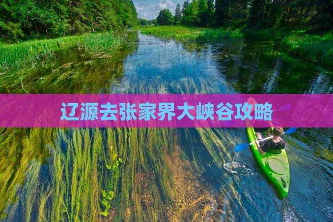 辽源去张家界大峡谷攻略