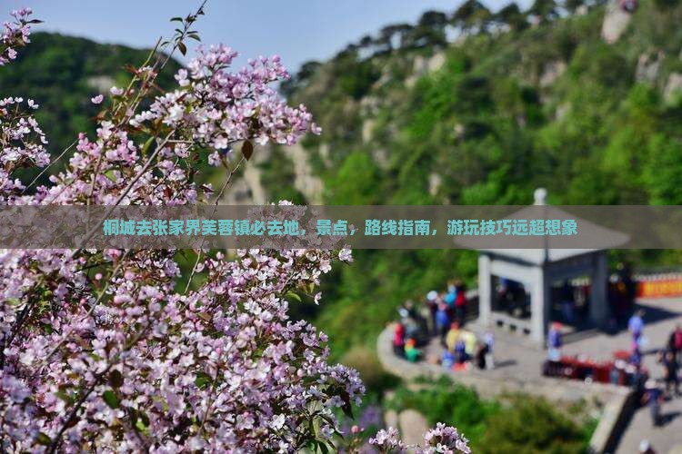桐城去张家界芙蓉镇必去地