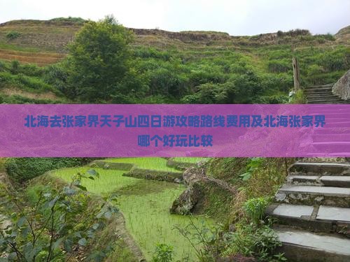 北海去张家界天子山四日游
