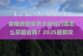 娄底去张家界大峡谷门票