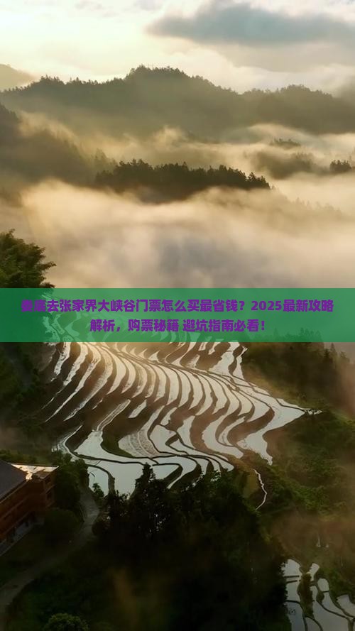 娄底去张家界大峡谷门票
