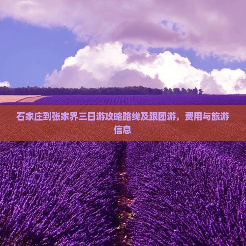 石家庄到张家界三日游