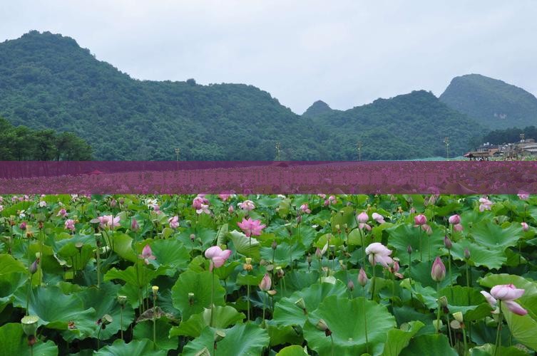 包头到张家界天子山攻略