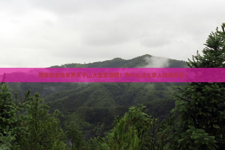 景德镇去张家界天子山大型旅游团