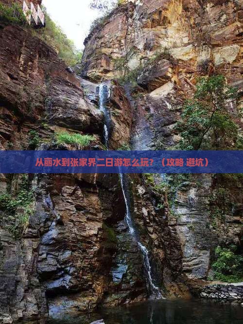 丽水去张家界二日游