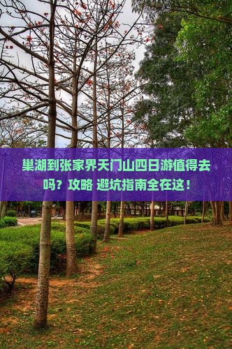 巢湖到张家界天门山四日游