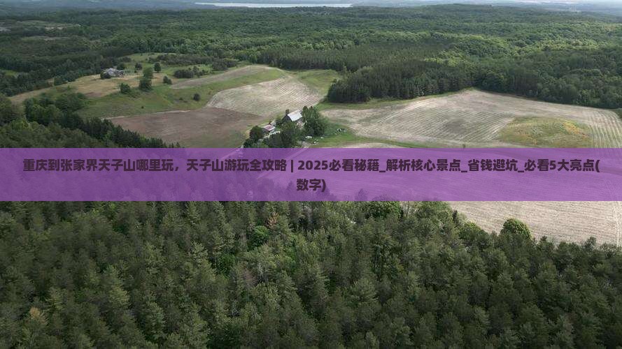 重庆到张家界天子山哪里玩 重庆到张家界天子山哪里玩