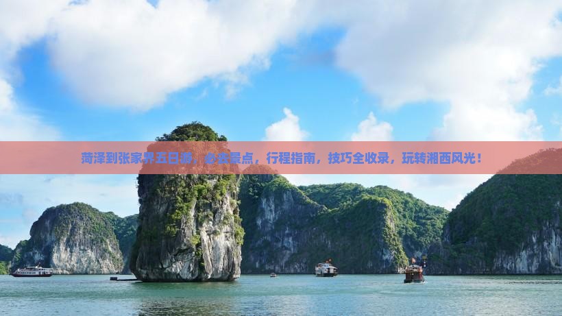 菏泽到张家界五日游