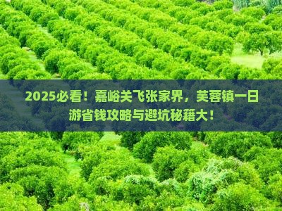 嘉峪关去张家界芙蓉镇一日