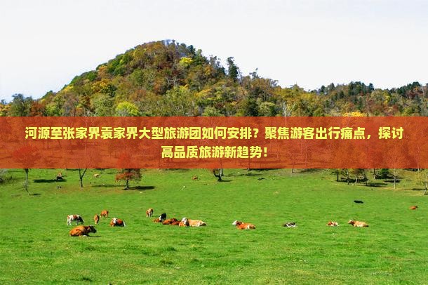 河源至张家界袁家界大型旅游团如何安排？聚焦游客出行痛点，探讨高品质旅游新趋势！