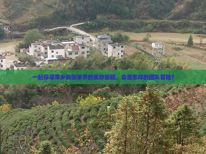 一起探寻萍乡到张家界的美妙旅程，会是怎样的团队冒险？