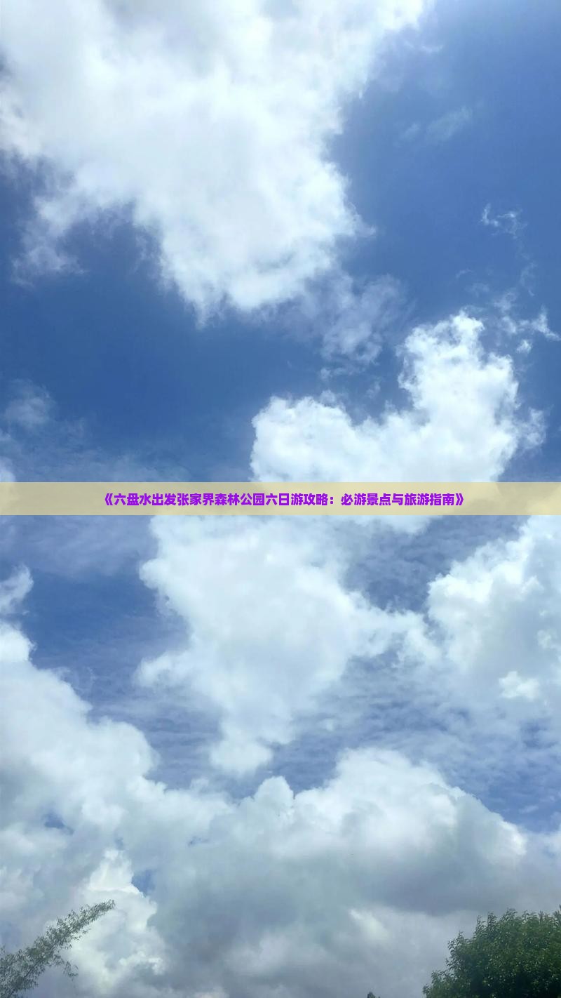 《六盘水出发张家界森林公园六日游攻略：必游景点与旅游指南》