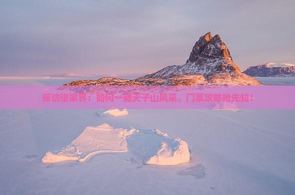 探访张家界：如何一睹天子山风采，门票攻略抢先知！
