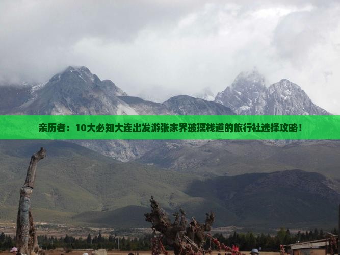亲历者：10大必知大连出发游张家界玻璃栈道的旅行社选择攻略！