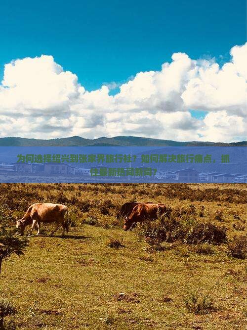 为何选择绍兴到张家界旅行社？如何解决旅行痛点，抓住最新热词新词？