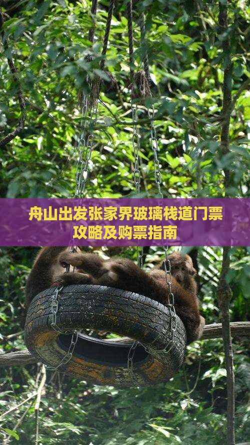 舟山出发张家界玻璃栈道门票攻略及购票指南