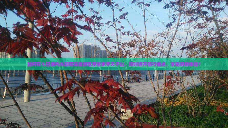 如何在七日游内从邵阳深度游览至张家界天子山，同时避开旅行痛点，享施游新体验？