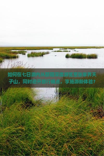 如何在七日游内从邵阳深度游览至张家界天子山，同时避开旅行痛点，享施游新体验？